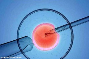 关于高龄代怀服务微信群